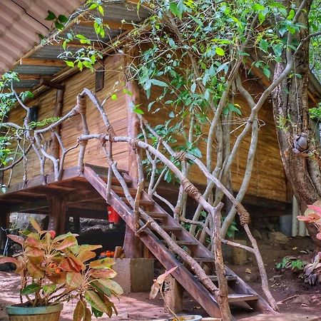 Golden Rainbow Guest House Dambulla Extérieur photo