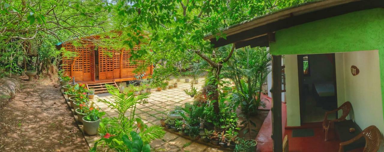 Golden Rainbow Guest House Dambulla Extérieur photo